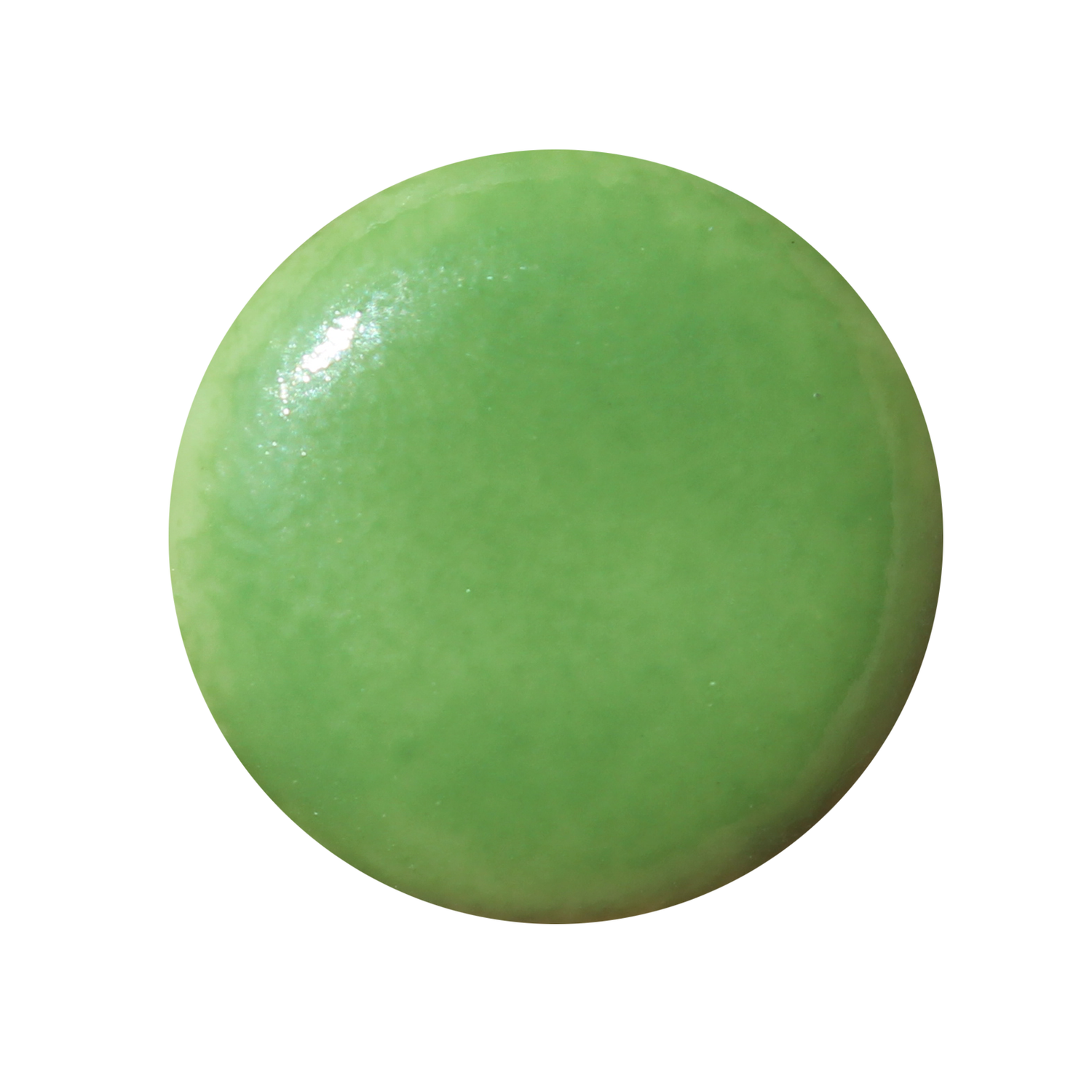 Couleur Schjerning Vert Printanier N°62 - 8GR