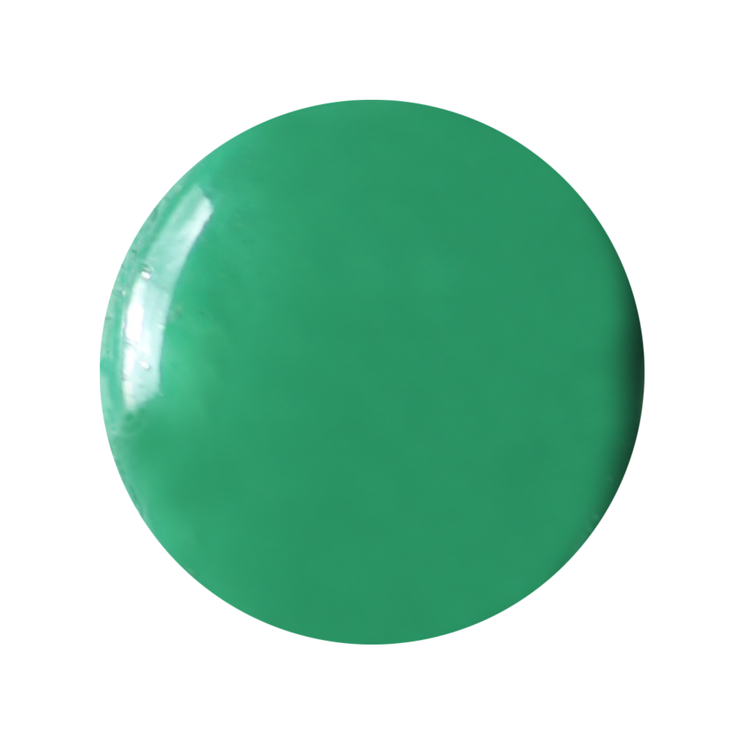 Couleur Schjerning Vert Veronese N°66 - 8GR