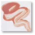 Couleur à peindre BOTZ 4007 Rosewood 30ml