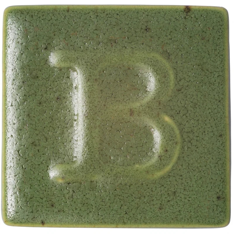 Email faïence BOTZ - Vert mousse - 9461