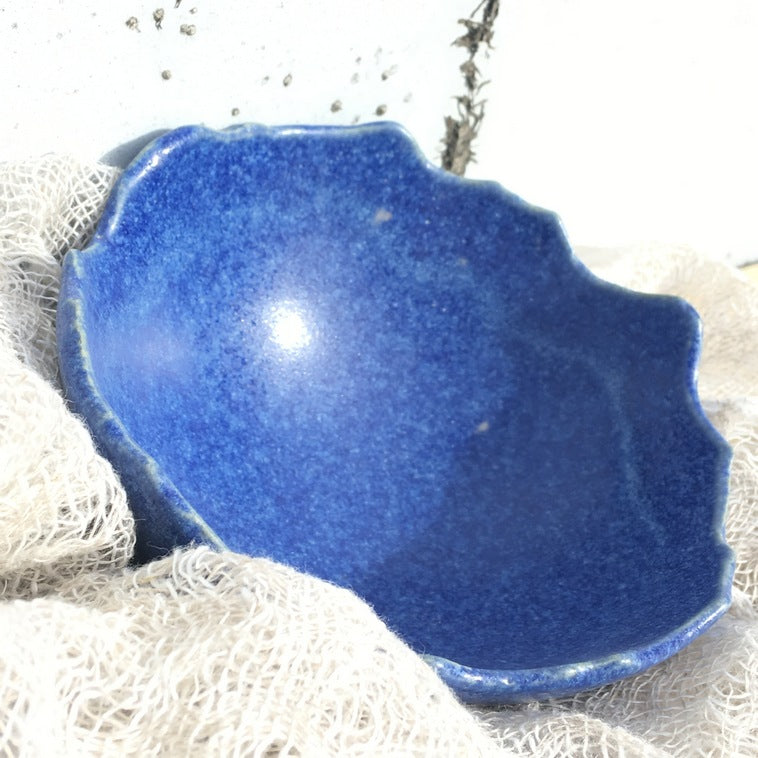 Email Grès Botz 9889 Indigo