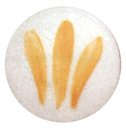 Couleur Schjerning Orange N°2086 - 6GR