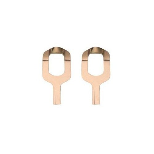 Lot de 2 lames de rechange taille L