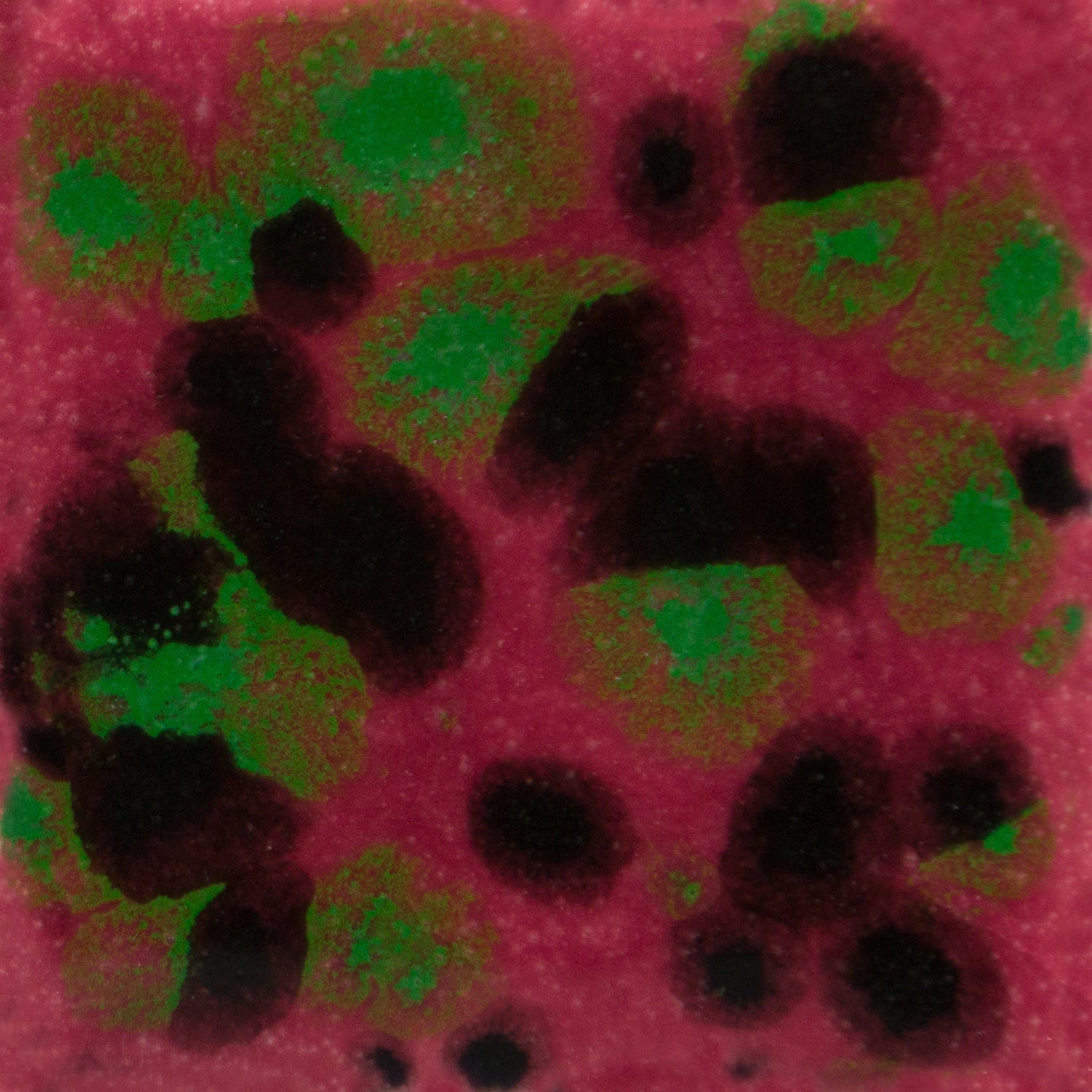 Email Mayco Jungle Gems - Maroon lagoon - CG1005
