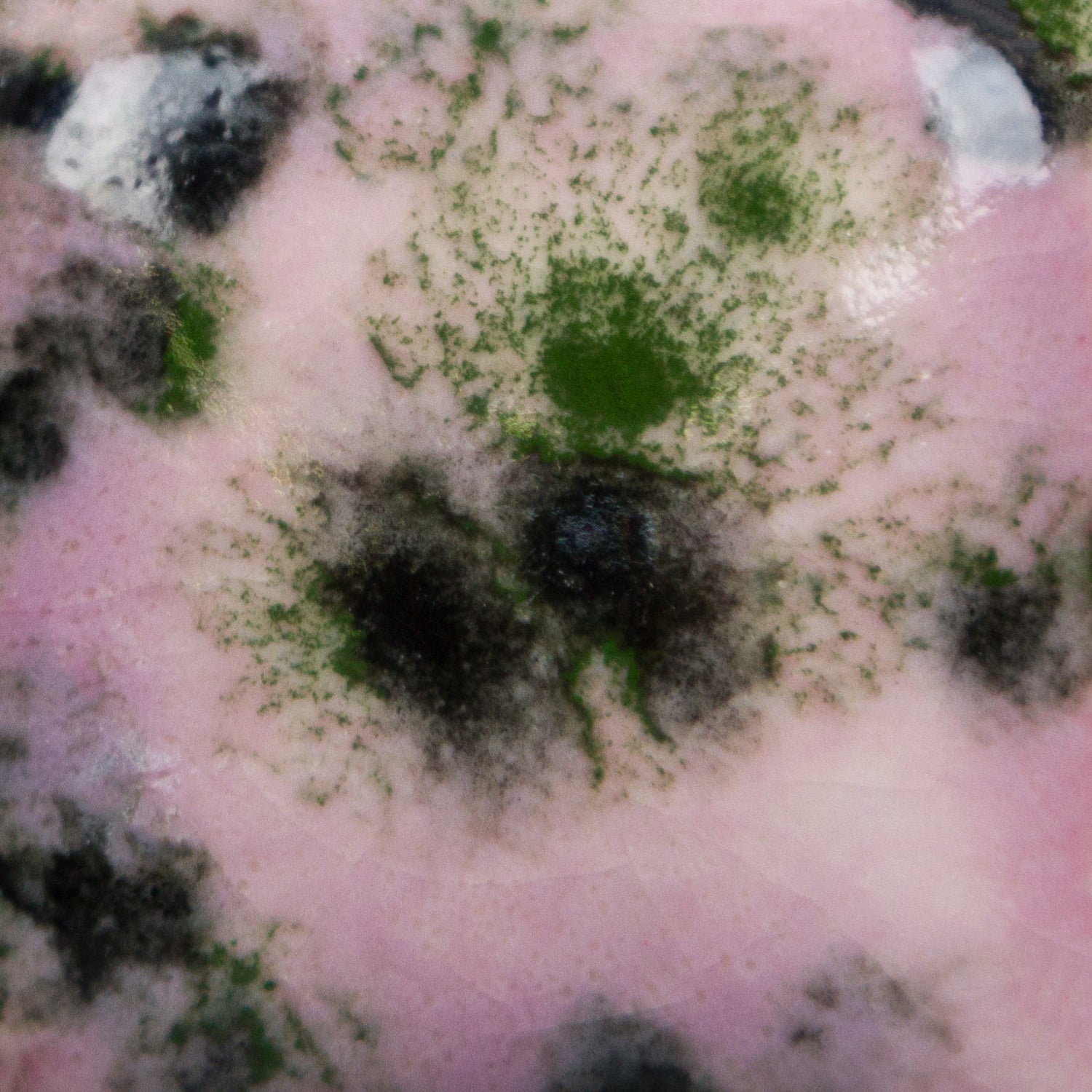 Email Mayco Jungle Gems - Maroon lagoon - CG1005