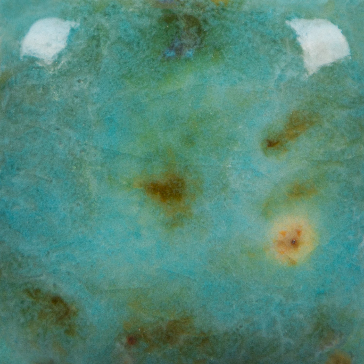 Email Mayco Jungle Gems - Blue guppy - CG1008