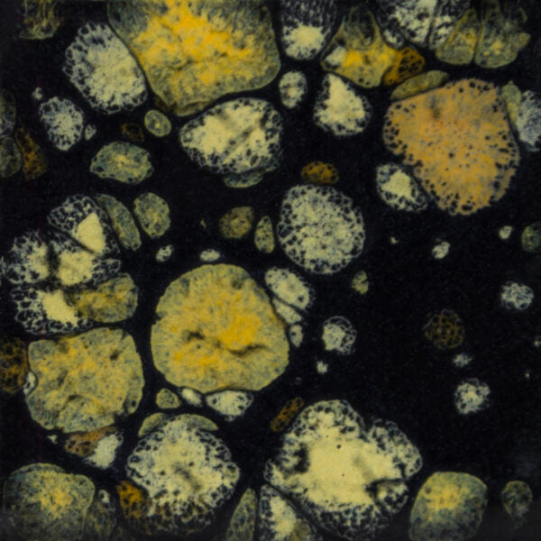 Email Mayco Jungle Gems - Black iris - CG798