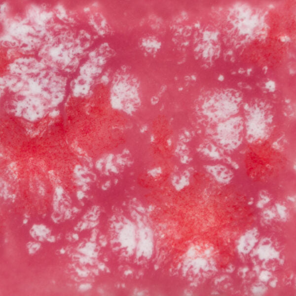 Email Mayco Jungle Gems - Peppermint twist - CG968 PEPPERMINT