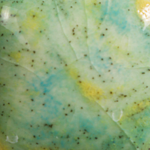 Email Mayco Jungle Gems - Meadow - CG979