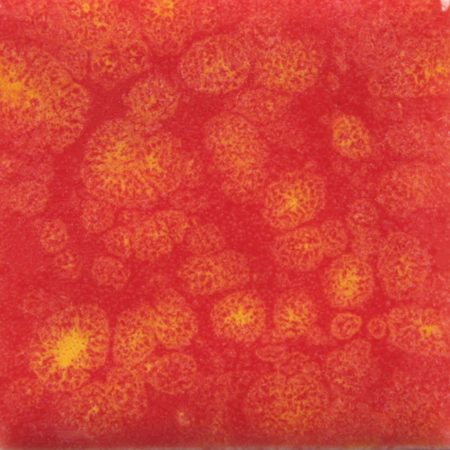 Email Mayco Jungle Gems - Fruit punch - CG989