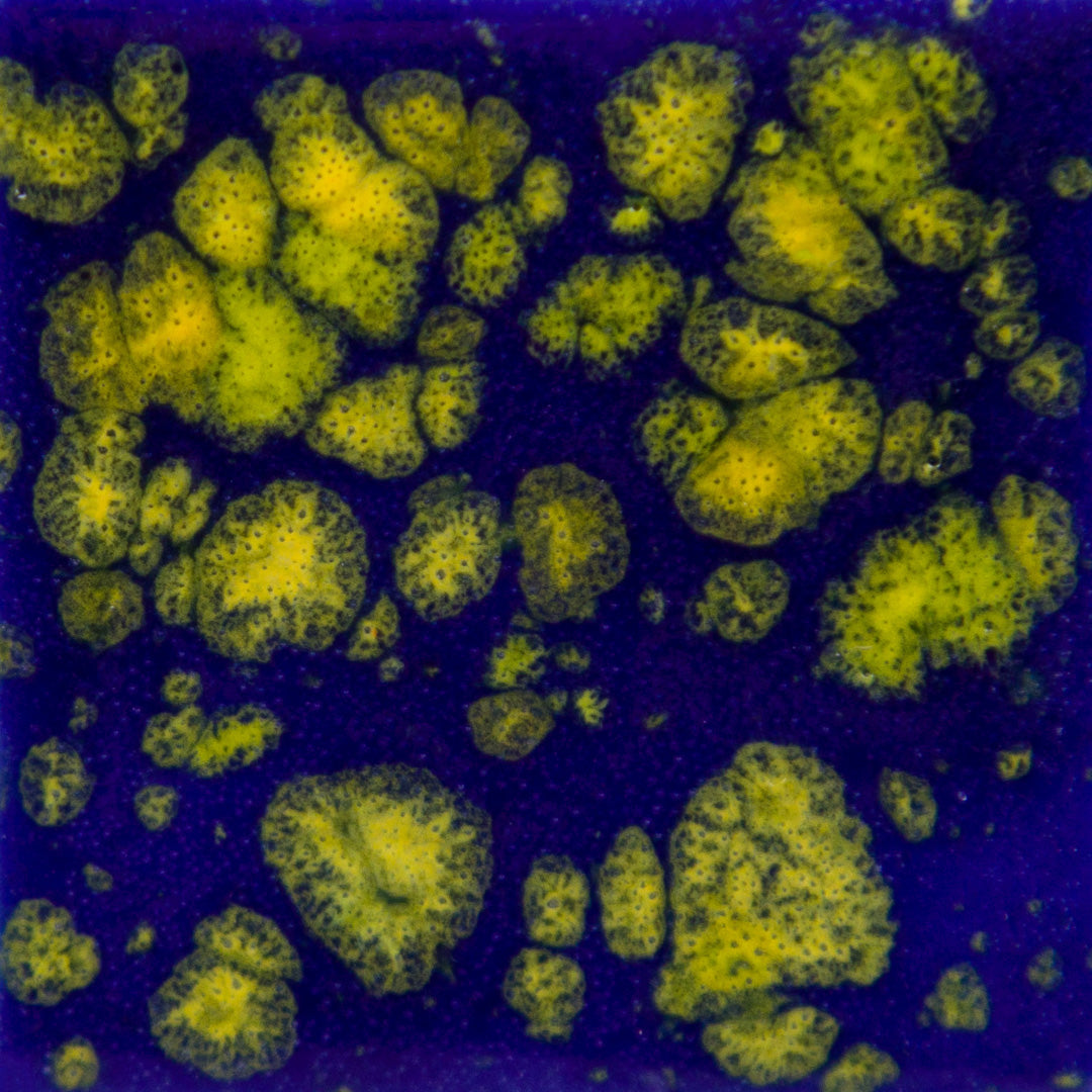 Email Mayco Jungle Gems - Starry night - CG990