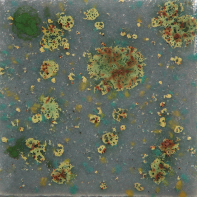 Email Mayco Jungle Gems - Montain moss - CG991