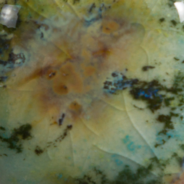 Email Mayco Jungle Gems - Montain moss - CG991
