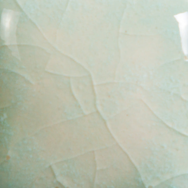 Email Mayco Jungle Gems - Seafoam - CG997