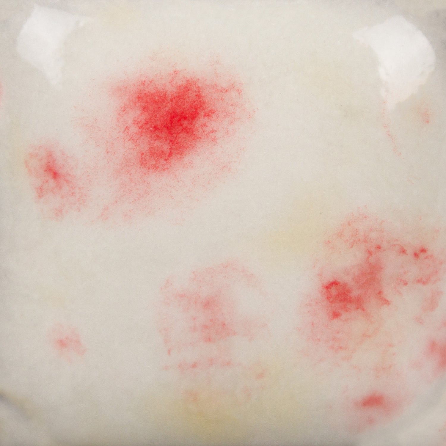 Email Mayco Jungle Gems - Berry tart - CG1004