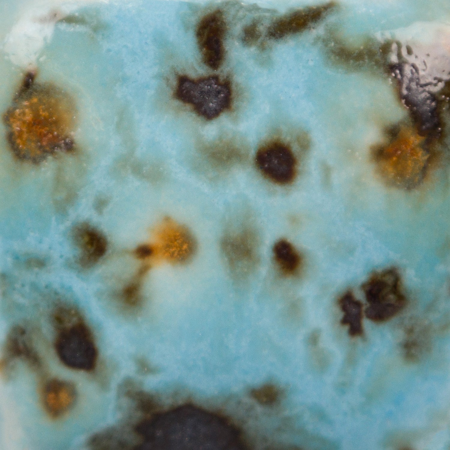 Email Mayco Jungle Gems - Blue guppy - CG1008