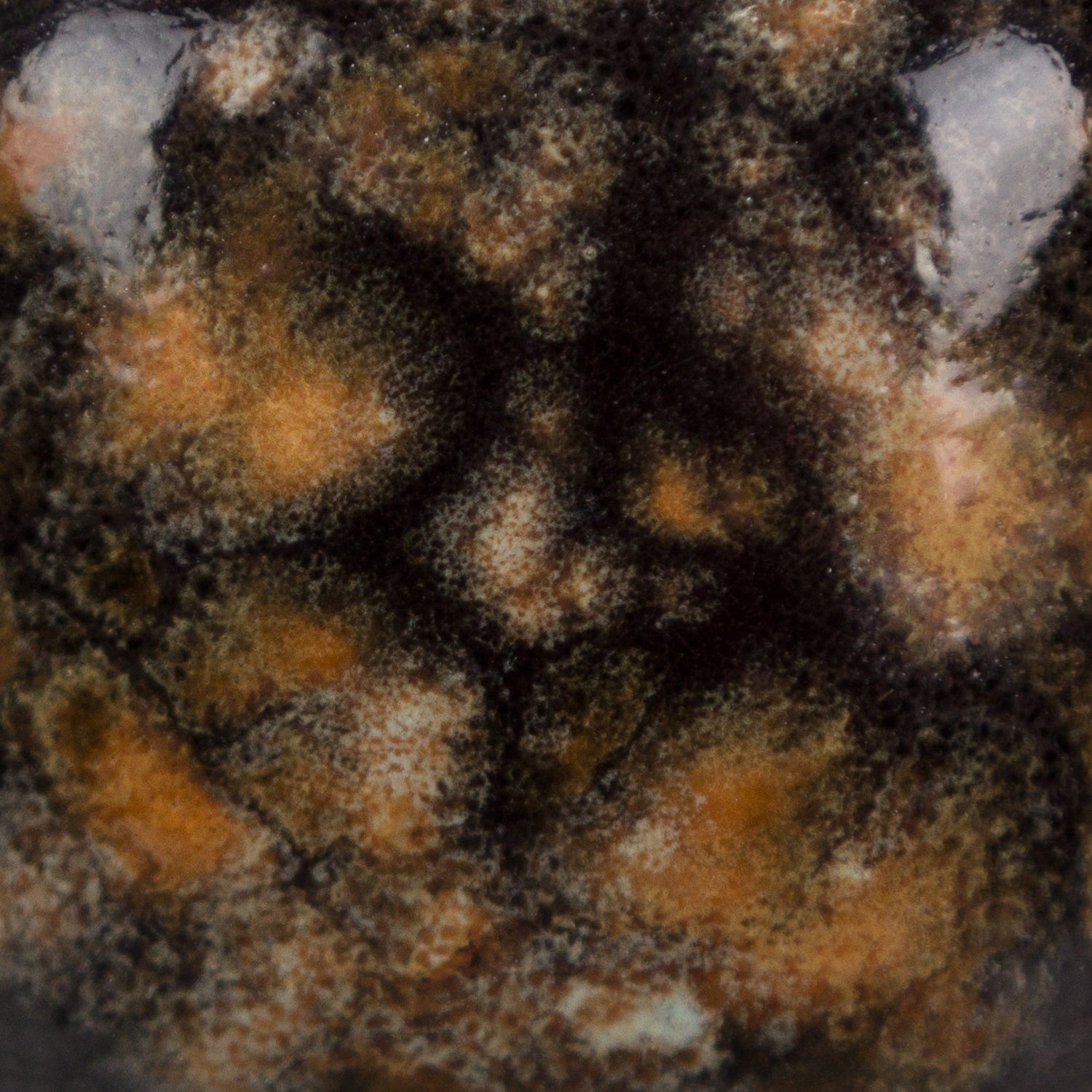 Email Mayco Jungle Gems - Black iris - CG798