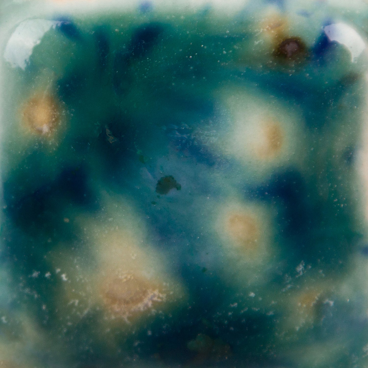 Email Mayco Jungle Gems - Bloomin'blue - CG974