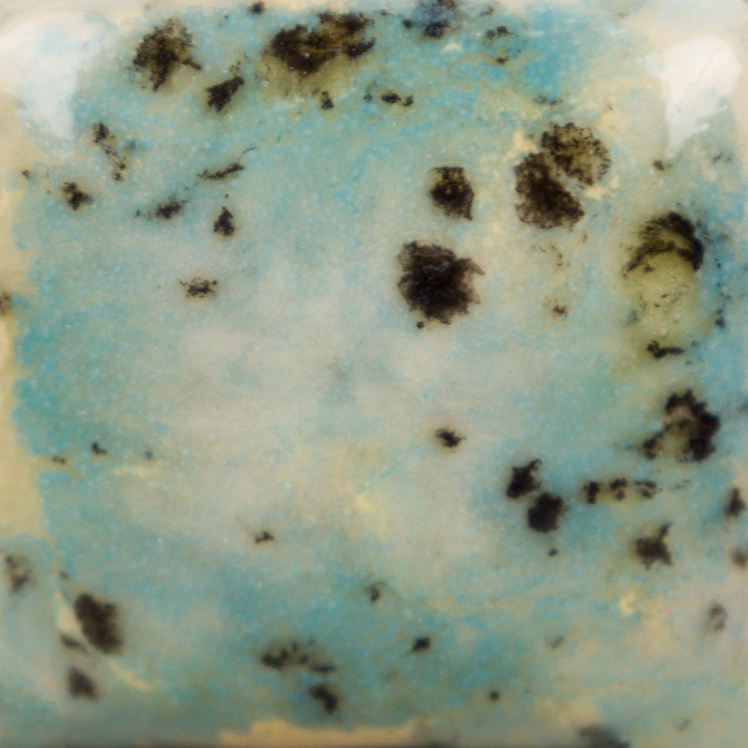Email Mayco Jungle Gems - Meadow - CG979