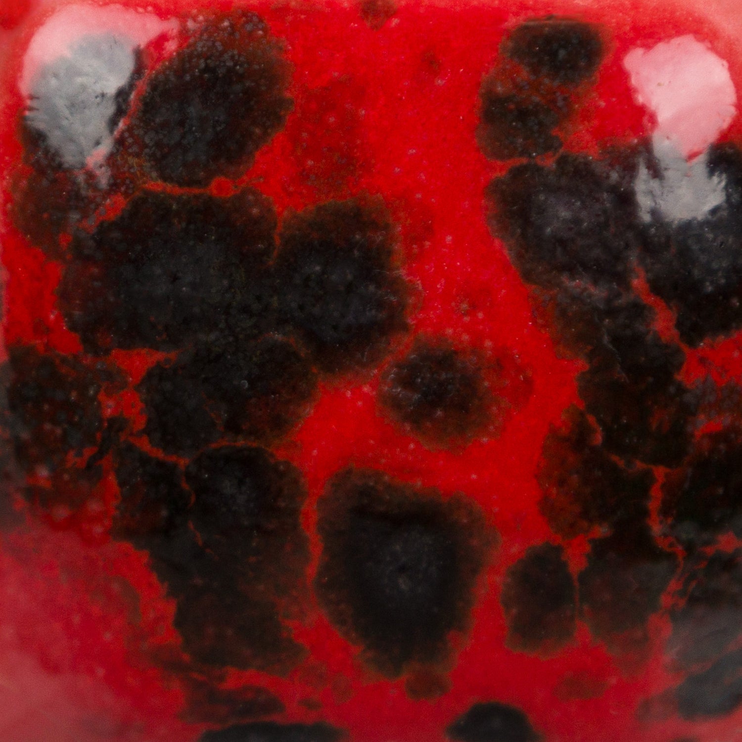Email Mayco Jungle Gems - Ladybug - CG984