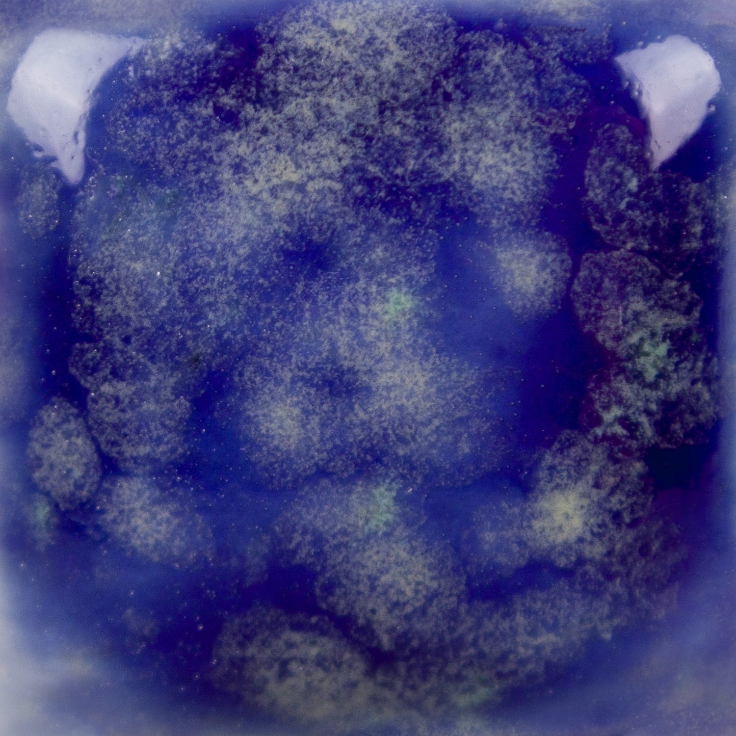 Email Mayco Jungle Gems - Starry night - CG990