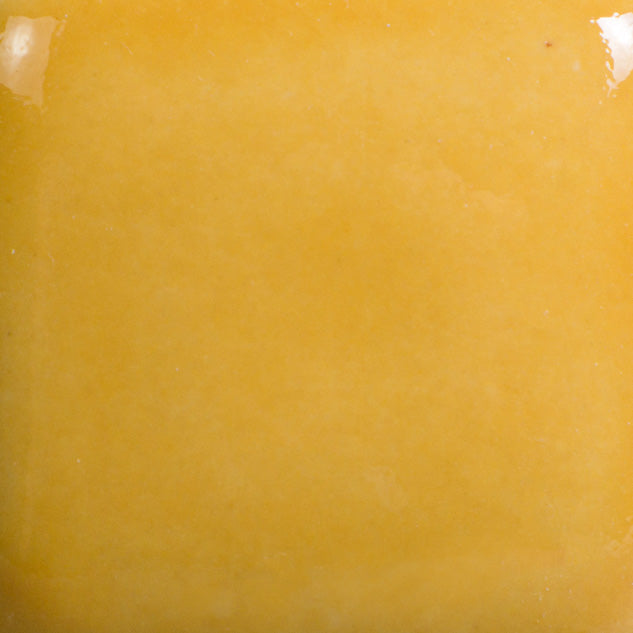 Email Mayco Foundation - Harvest Orange FN-016 - 473ML