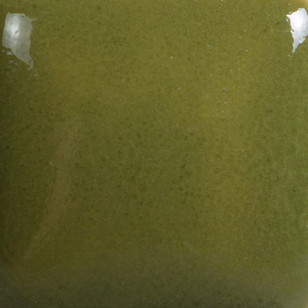Email Mayco Foundation - Olive Green FN-021 - 473ML