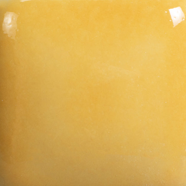 Email Mayco Foundation - Yellow Orange FN-044 - 473ML