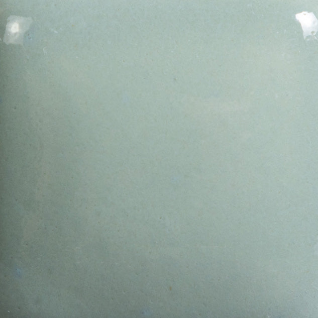 Email Mayco Foundation - Sage FN-046 - 473ML