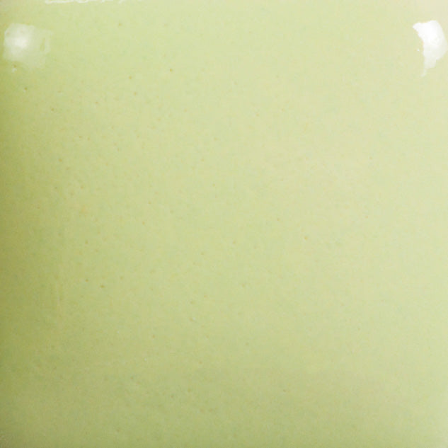Email Mayco Foundation - Mint FN-053 - 473ML