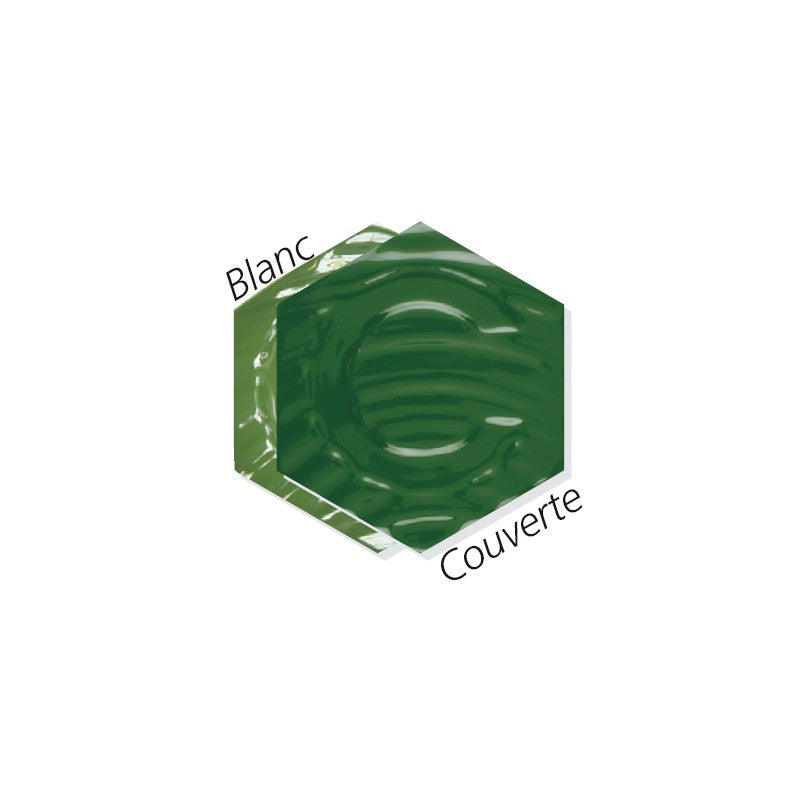 Oxyde colorant PCS 122 Vert de chrome