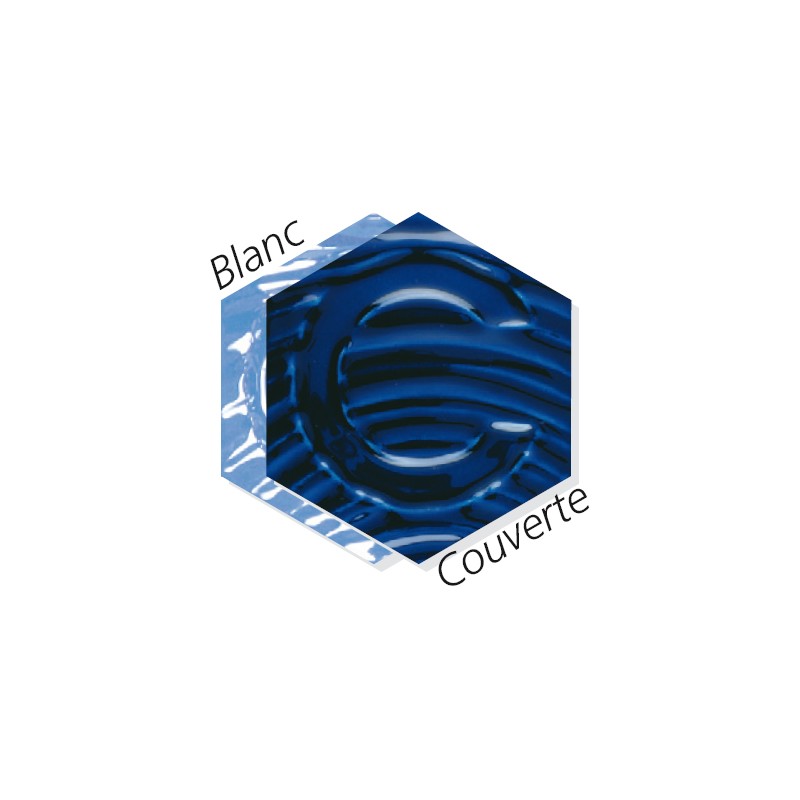 Oxyde Colorant Bleu Cobalt PGD 10