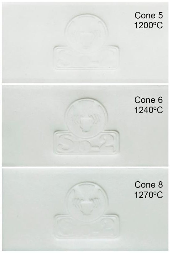 Porcelaine de coulage ANETO SLIP - SIO2