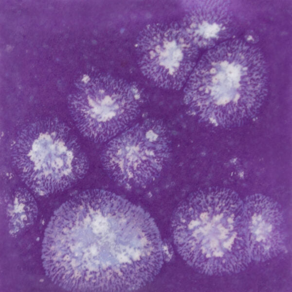 Email Mayco Jungle gems - Grape Divine S-2723