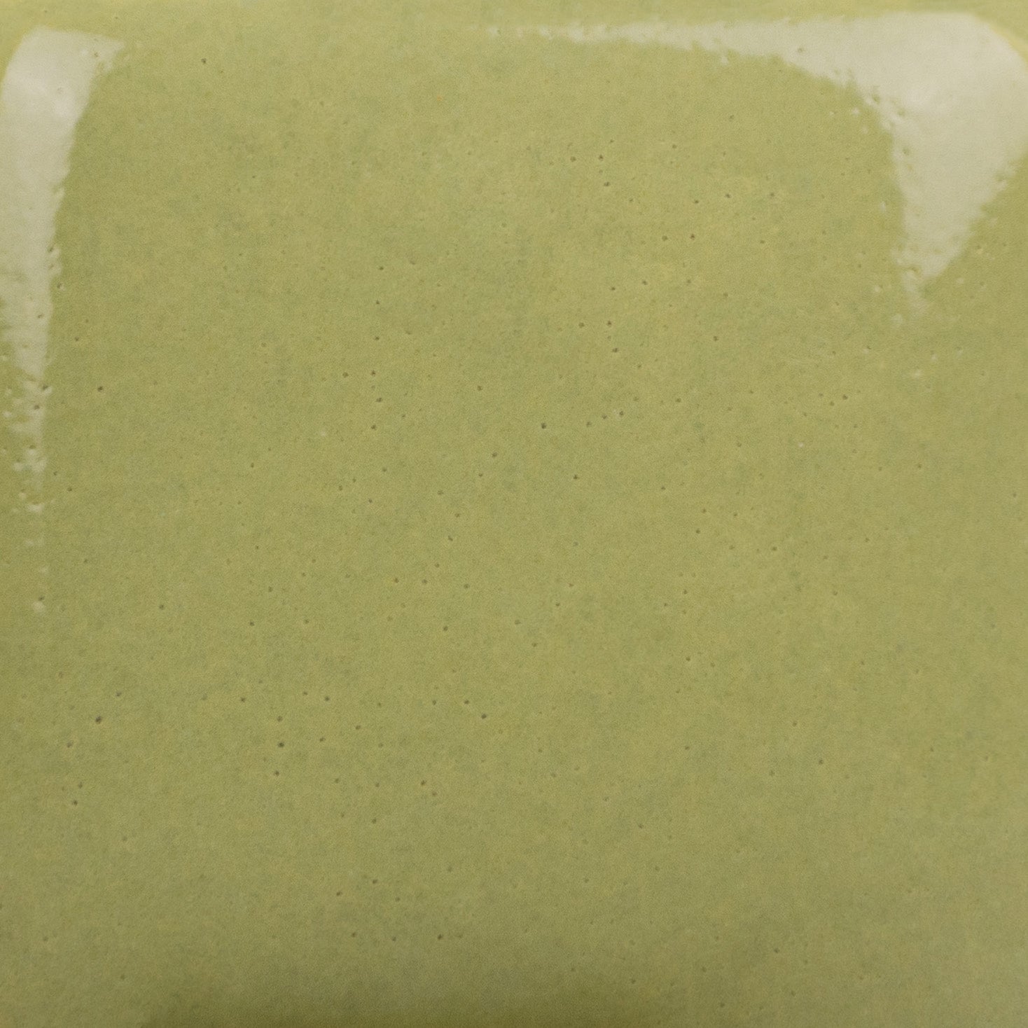 Couleur à peindre Mayco Stroke & coat - It S Sage - SC79 - 236ML