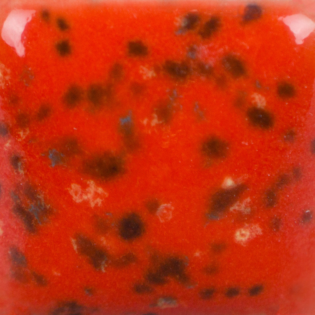 Couleur à peindre Mayco Stroke & coat - Speckled Tu tango - SP288 - 236ML